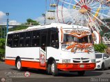 Particular o Transporte de Personal 55