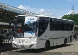 Lnea Unin San Diego C-004 Sanchez Tati Scainem Mercedes-Benz OH-1420