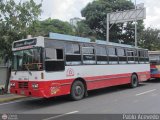 Transporte Valles Altos de Carabobo 004, por Pablo Acevedo