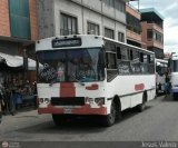 MI - Lnea Unin Libertad 302