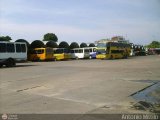 Garajes Paradas y Terminales San-Fernando, por Antonio Mittilo