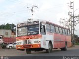 Colectivos Altagracia 19