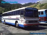 Expresos Los Andes 06, por Edgardo Gonzlez