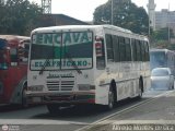 Transporte El Esfuerzo 14