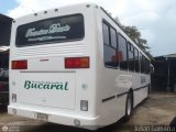 Transporte Bucaral 01