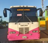 A.C. Transporte Paez 048