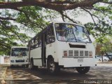 CA - Unin Caribe C.A. 01 Fanabus Minimetro OF Mercedes-Benz OF