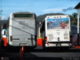 Garajes Paradas y Terminales Carupano