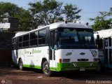 Expresos Bolivarianos 20 Pjaro Azl lite Chevrolet CHR660