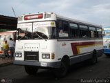 A.C. de Transporte Larense 43