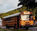 CA - TransDrcula 08 IC Bus FE International 3000FE