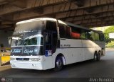 Los Reyes del Centro 43, por Alvin Rondn