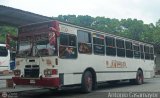 Transporte Bonanza 0022 por Antonio Casamayor