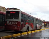 Bus CCS 1005