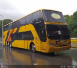 Expresos Los Llanos 035