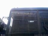 Detalles Acercamientos NO USAR MS 133 Marcopolo Viaggio G4 1100 Mercedes-Benz O-371RS