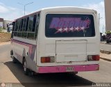 ZU - Los Claveles 02, por El Niobs