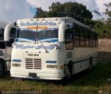 A.C. Transporte Paez 007, por Yenderson Fernandez C.