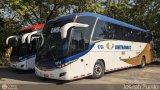 Unitransco S.A. 9756