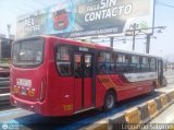 Lnea Peruana de Transportes S.A. (Per) 796, por Leonardo Saturno