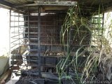 En Chiveras Abandonados Recuperacin Ikarus de la Policia Metropolitana Ikarus 266  