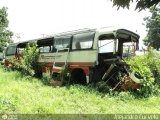En Chiveras Abandonados Recuperacin AC0030 Mercedes-Benz Integral O-303 Mercedes-Benz O-303