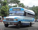 A.C. Lnea Brisas del Campo 20 Blue Bird Mini Bird Ford B-350