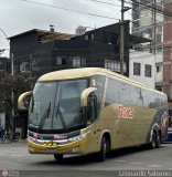 Foto anterior 962