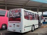 Ejecutivos Kova 081 por M�guel Pino