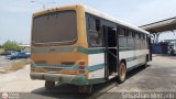 ZU - Colectivos Concepcin 029, por Sebastin Mercado