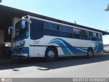 Expresos Nirgua 0019 Busscar Urbanuss Mercedes-Benz OF-1318