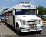 ZU - Colectivos Los Laureles C.A 02