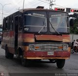 A.C. de Conductores Rosario de Paya 082, por Kimberly Guerrero