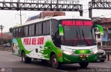 Grupo Perla del Sur S.A.C. 330 Artesanal o Desconocido Artesanal Peruano Scania F310