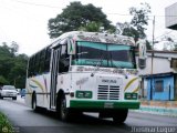 A.C. Transporte San Alejo 02, por Jhosmar Luque