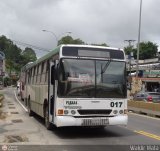 MI - Transporte Paran 017, por Waldir Mata