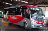Empresa Chilena Pendiente 15 Marcopolo Senior New G7 Mercedes-Benz LO-916 BlueTEC 5