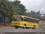 Universidad Nacional Experimental del Tachira 57 por Freddy Salas