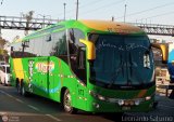 Transporte Wari 673