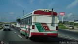 Autobuses de Tinaquillo 01