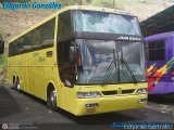 Expresos Alianza 308