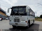 Colectivos El Vig�a 15 por �ngel Sal�n