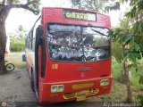 Transporte Girardot C.A. 18