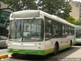 Bus CCS Materfer 23  Materfer guila Materfer BU1115LE
