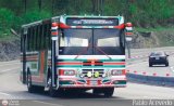 Transporte El Esfuerzo 10
