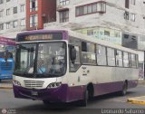 Consorcio del Corredor Morado (Per) 764
