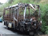 En Chiveras Abandonados Recuperacin AC0001, por Alejandro Curvelo