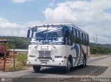 Transporte Panamericano 09 por Aaron Rodr�guez