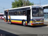 Colectivo San Rafael (El Moj�n) 16