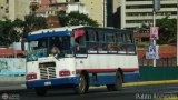 DC - Unin Criollos del Este S.C. 033